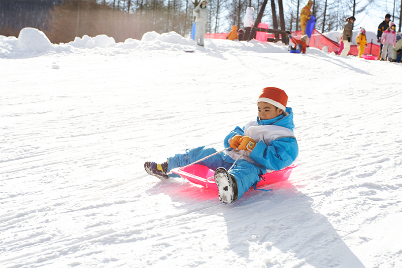 Image of the Sledding Course