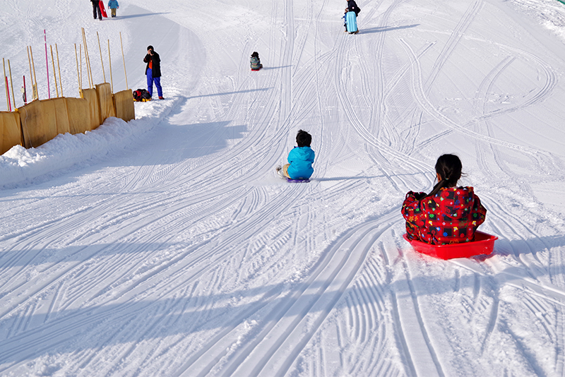 Image of the Sledding Course