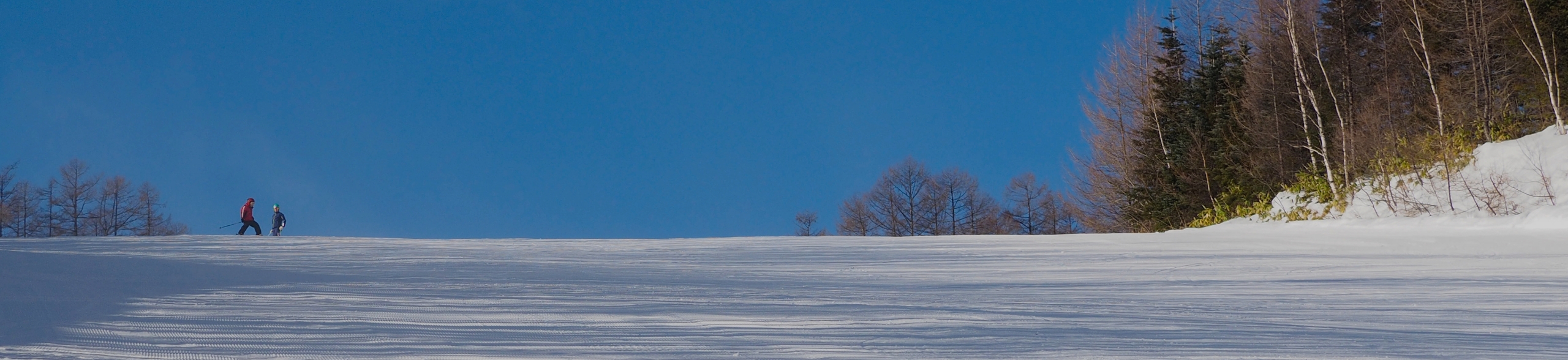 Top image of the Slope Info　page