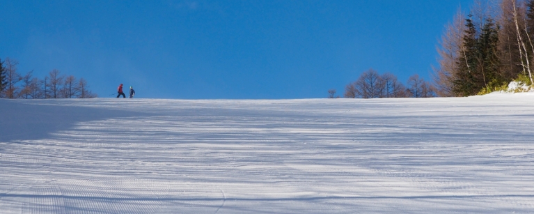 Top image of the Slope Info　page