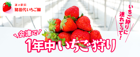 道の駅前猪苗代 いちご園