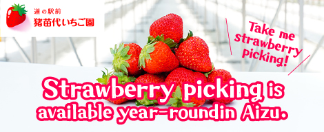 Michi-no-Eki-Mae Inawashiro Strawberry Farm