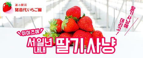 길 앞 이나와시로이치고엔