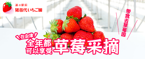 道之站前猪苗代草莓园