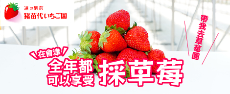 道之站前豬苗代 草莓園